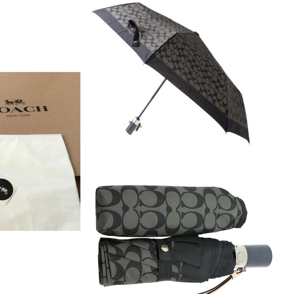 top brand umbrella
